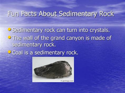 things under a rock facts.